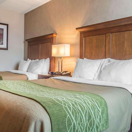 Comfort Inn Порт-Хоп Экстерьер фото